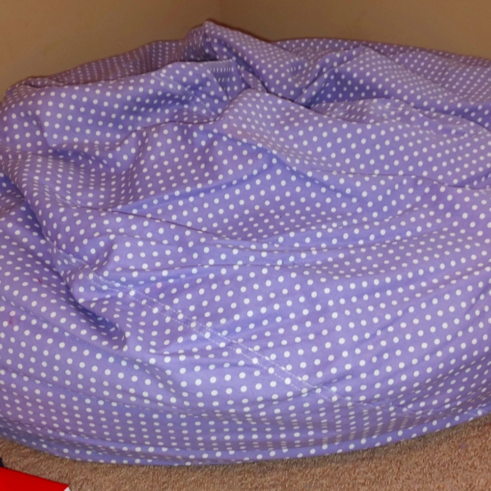Beanbag